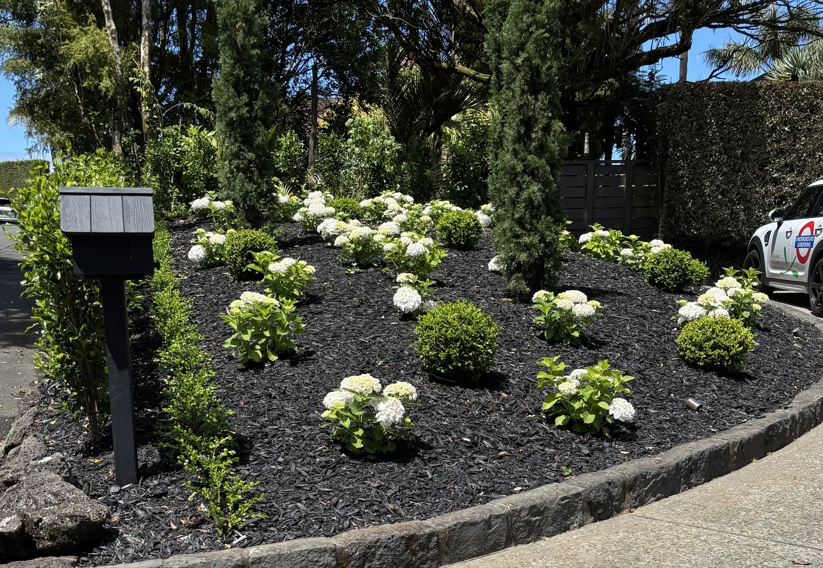A stone-edged bed of hydrangeas and clipped hedging curving along a driveway