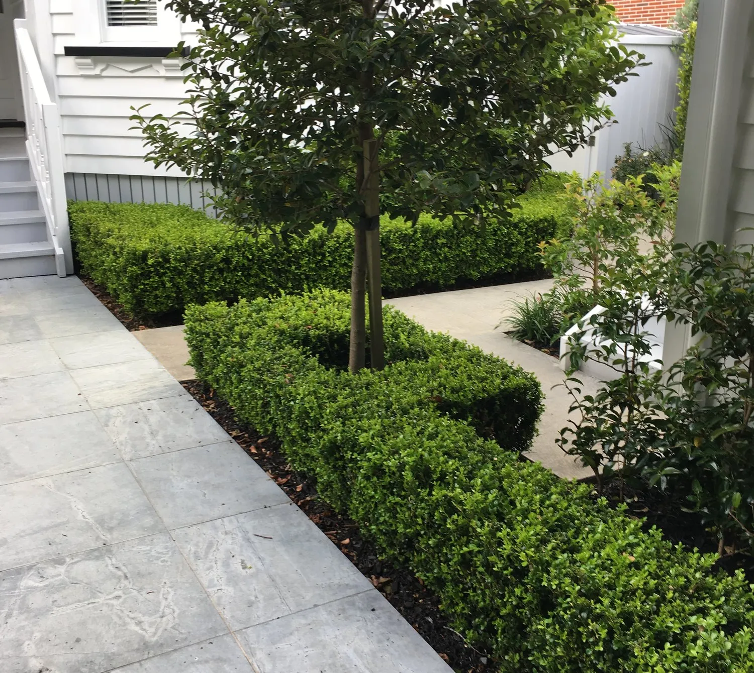 Clipped box hedging, a specimen tree and a paved path beside a villa