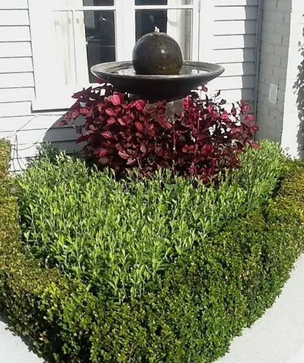 A sphere water feature over clipped hedging and burgundy planting