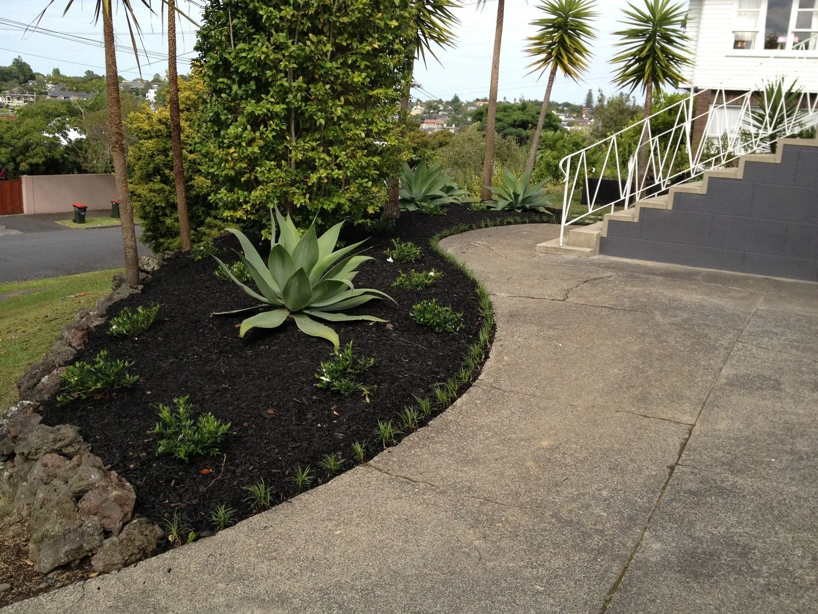 An agave and a curving mulched bed running alongside a concrete path