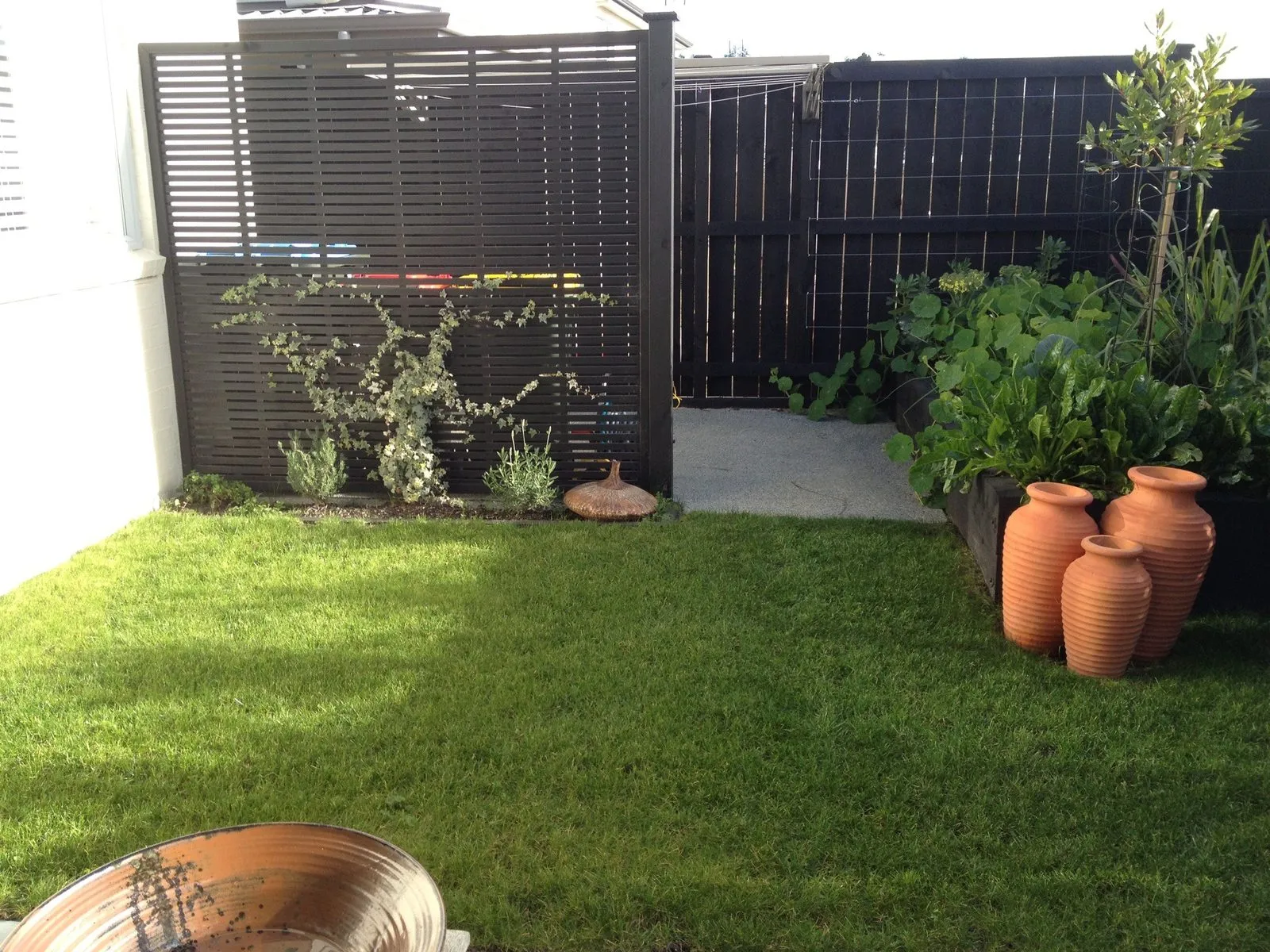 Lawn, urns and a timber screen in a courtyard