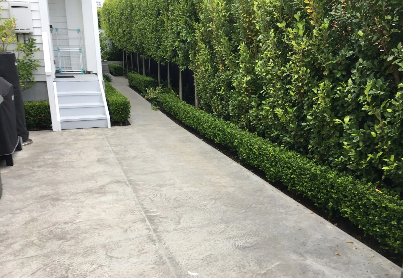 A tall hedge trimmed square along the side of a house